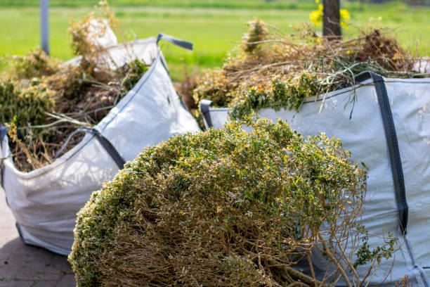 Debris Removal in Leadwood, MO